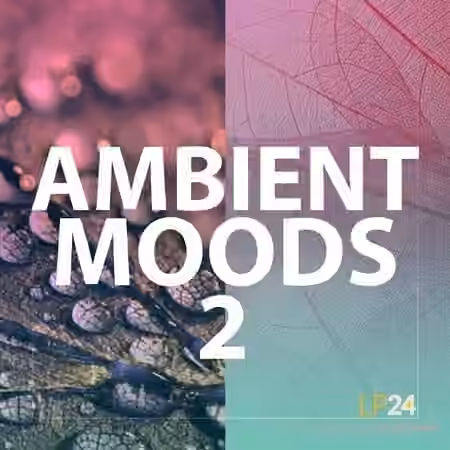 Lp24 Ambient Moods 2 [WAV]