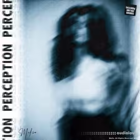 Mafio Perception Bundle Sample Pack + One Shot Kit + Mixing Chains [WAV, Synth Presets]