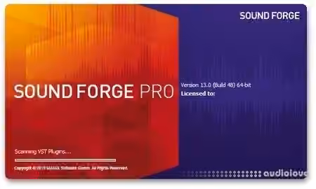 MAGIX SOUND FORGE Pro Portable v13.0.0.131 (x64) [WiN]