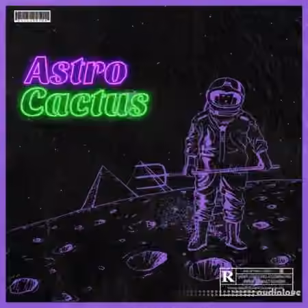 Major Loops Astro Cactus [WAV]