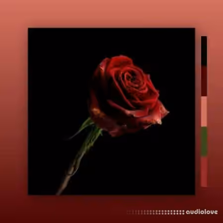 MarcDBeats Rose [WAV]
