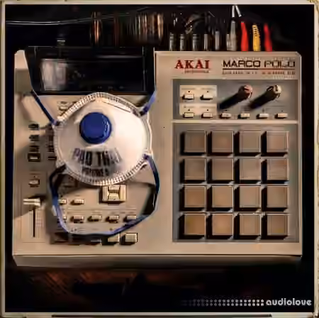 Marco Polo Pad Thai Vol.6 [WAV]