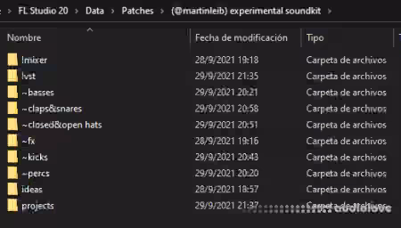 Martin Leib Experimental Soundkit [WAV, MiDi, Synth Presets]