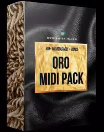 Midilatino ORO Reggaeton MIDI Pack [MiDi]
