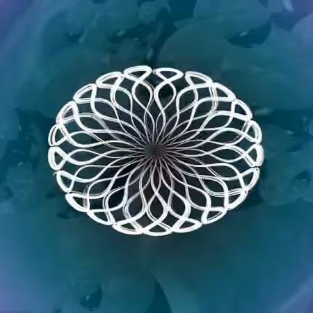 Midivolve by Coldcut v1.5 [Max for Live]