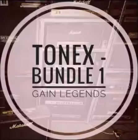 Mirror Profiles Gain Legends for TONEX