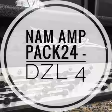 mirrorprofiles NAM A2 Amp Pack 24 DZL 4