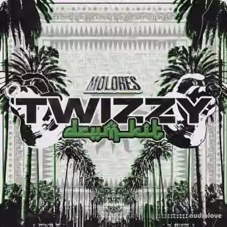 MOLORES Twizzy Drum Kit [WAV, Synth Presets]