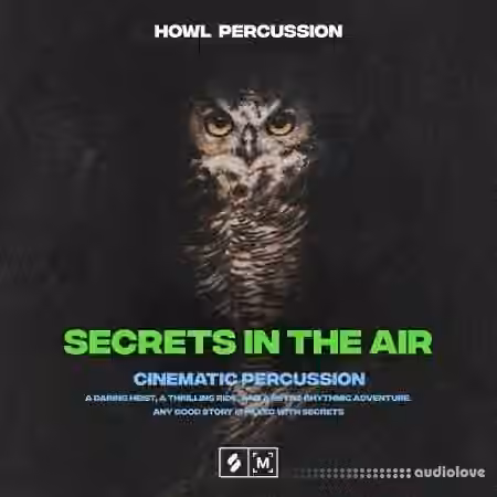 Montage By Splice Secrets In The Air Cinematic Percussion [WAV]