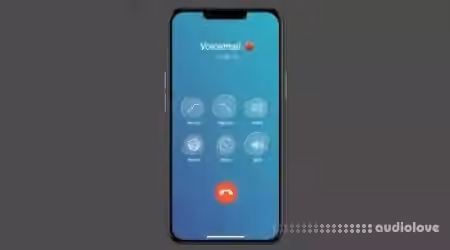 Mors Voicemail Pro  (FX Plugin) v1.0.0 [WiN, MacOSX]