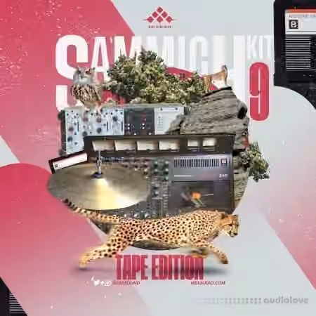 MSXII Sound Design Sammich Kit Vol.9 (Tape Edition) [WAV]