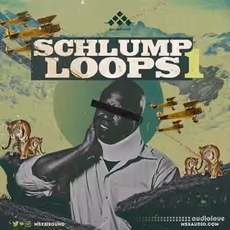 MSXII Sound Design Schlump Loops 1 [WAV]