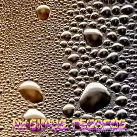 Nasimus Records Minimal Basses and Voice [WAV]