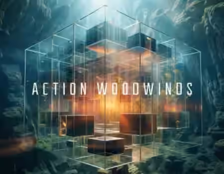 Native Instruments Action Woodwinds v1.0.0 [KONTAKT]
