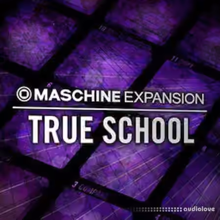 Native Instruments Maschine Expansion True School [Maschine]