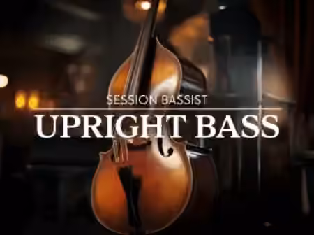 Native Instruments Session Bassist Upright Bass [KONTAKT]