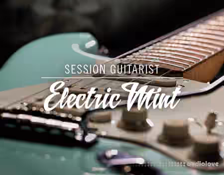 Native Instruments Session Guitarist Electric Mint v1.1 [KONTAKT]