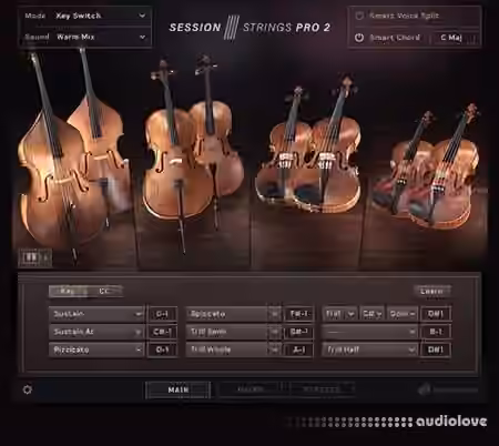 Native Instruments Session Strings Pro 2 v1.0.5 [KONTAKT]