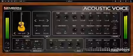 Nembrini Audio NA Acoustic Voice v1.0.1 [WiN]