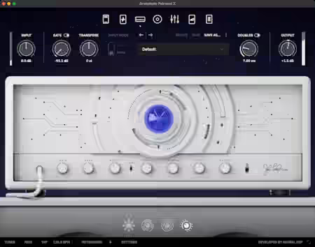 Neural DSP Archetype Petrucci X v1.0.0 U2B [MacOSX]