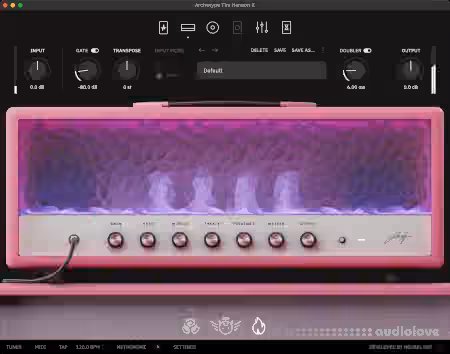 Neural DSP Archetype Tim Henson X v1.0.1 [U2B] [MacOSX]