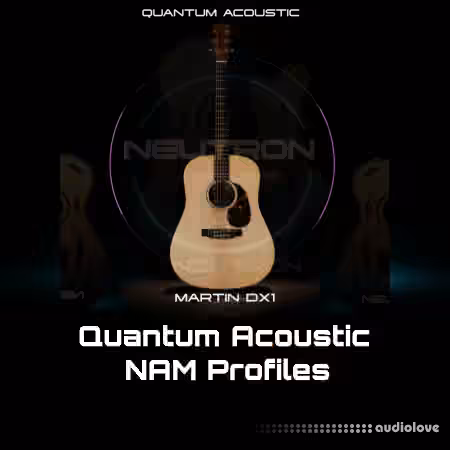 Neutron Studios Martin DX1 NAM PROFILES [Synth Presets]