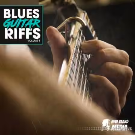 New Beard Media Blues Guitar Riffs Vol 1 [WAV]
