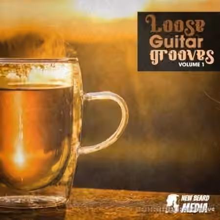 New Beard Media Loose Guitar Grooves Vol.1 [WAV]