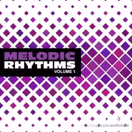 New Beard Media Melodic Rhythms Vol.1 [WAV]