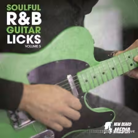New Beard Media R&B Guitar Licks Vol.5 [WAV]