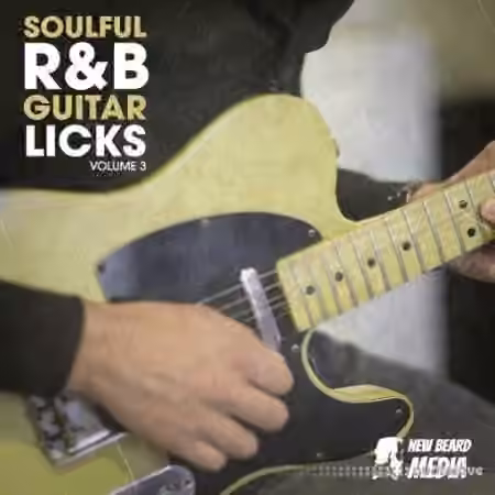 New Beard Media Soulful RnB Guitar Licks Vol.3 [WAV]