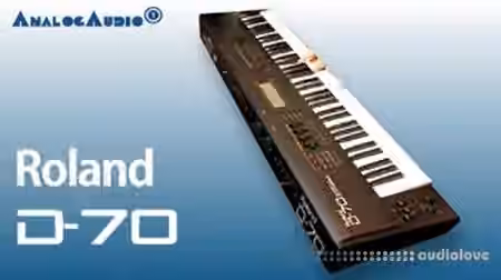 Nicebeats Synthline #3126 Roland D-70 [KONTAKT]