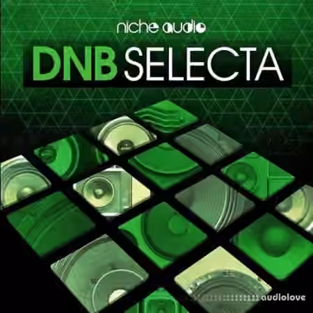 Niche Audio DNB Selecta [Maschine]