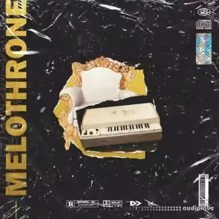 Nine Audio Melothrone [WAV]