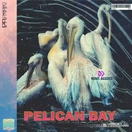 Nine Audio Pelican Bay [WAV]