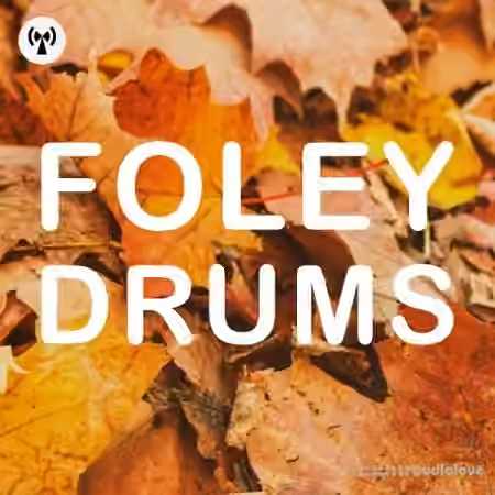 Noiiz Foley Drums [WAV, MiDi]