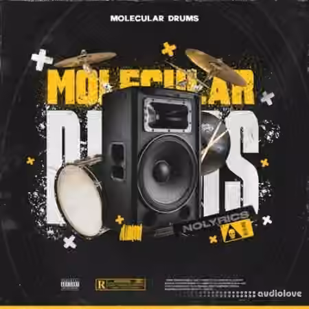nolyrics MOLECULAR DRUMS [WAV] - Sample Pack Artwork