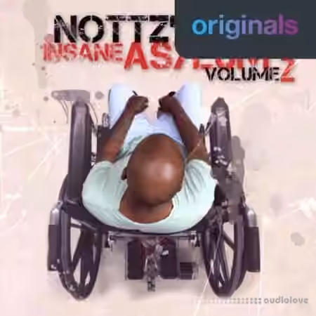 Nottz's Insane Asylum Volume 2 [WAV]