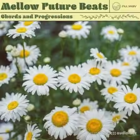 nu.wav Mellow Future Beats Chords and Progressions [WAV]