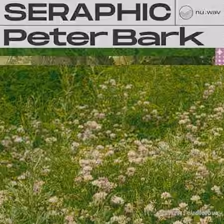 nu.wav Peter Bark - Seraphic [WAV]