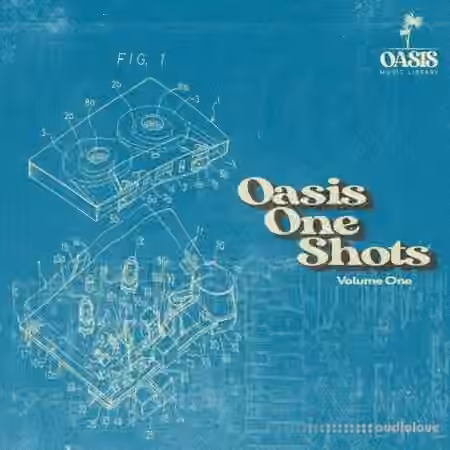 Oasis Music Library Oasis One Shots Vol.1 [WAV]