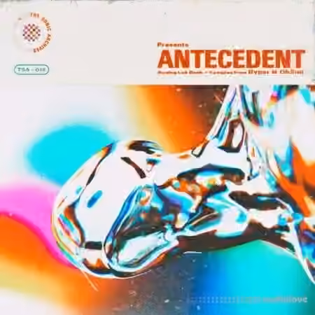Oh2uu Antecedent [WAV, Synth Presets]