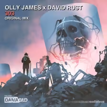 Olly James Signature Sounds Vol.35 303 [WAV, MiDi]