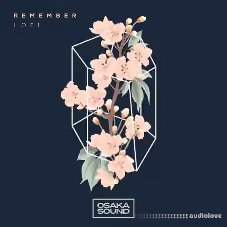 Osaka Sound Remember Lo-Fi [WAV]