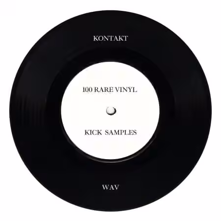 PastToFutureReverbs 100 Rare Vinyl Kick Samples [KONTAKT, WAV]