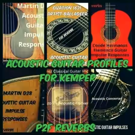 PastToFutureReverbs Acoustic Guitar Profiles for Kemper! Kemper Profiles KiPR