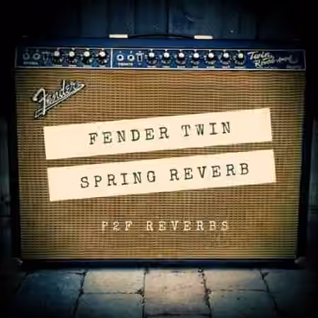 PastToFutureReverbs Fender 65 Twin Spring Reverb!