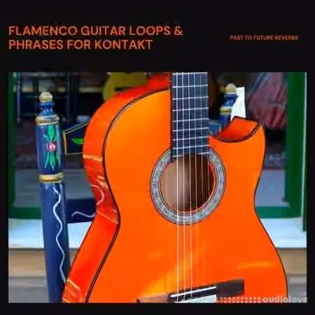 PastToFutureReverbs Flamenco Guitar Loops And Phrases [KONTAKT]
