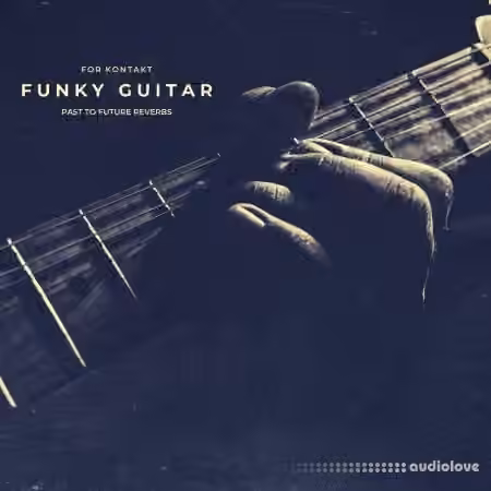 PastToFutureReverbs Funky Guitar [KONTAKT]