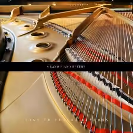 PastToFutureReverbs Grand Piano Reverb! (Steinway B)